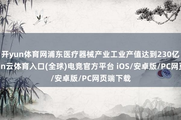 开yun体育网浦东医疗器械产业工业产值达到230亿元-开yun云体育入口(全球)电竞官方平台 iOS/安卓版/PC网页端下载